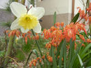 Spring colors (2013, April 08)