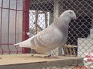 DSC00153