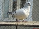 DSC00154