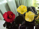 DSC02559
