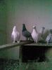 Imag021