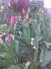 9 april