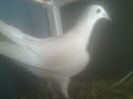 Image0446