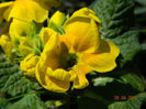 043