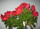 IMG_1790