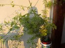 DSCN0254