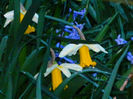 DSCN6524