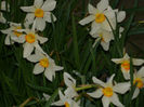 DSCN6601