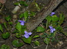 DSCN6611
