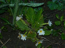 DSCN6633
