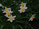 DSCN6651