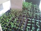20130411_154005