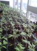 20130411_154253