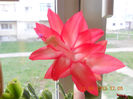 DSCN2923