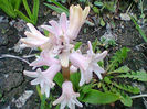 Fotogr.0676