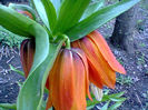 Fotogr.0685