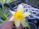 Fotogr.0704