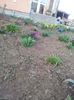 20130406_184922