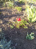 20130406_185041