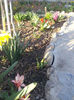 20130406_185109