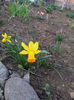 20130406_185118