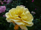 P1120026