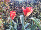 2013-04-10 18.34.19
