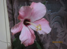 Picture 034