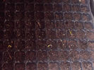 DSCN7883_3354