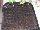 DSCN7884_3355