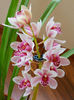 DSCN3843