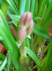 DSCN3850