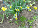 DSCN3782