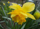 DSCN3785