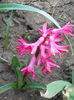 DSCN3791