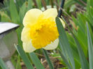 DSCN3793