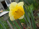 DSCN3795