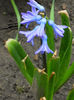 DSCN3812