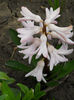 DSCN3820