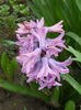 DSCN3823