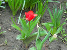 DSCN3829