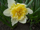 DSCN3831