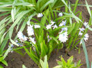 DSCN3835