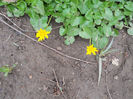 DSCN3842