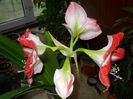 DSCN3943