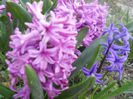 DSCN3947