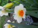 DSCN3953