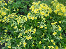 DSCN3957