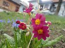 DSC05865