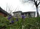 DSC05867
